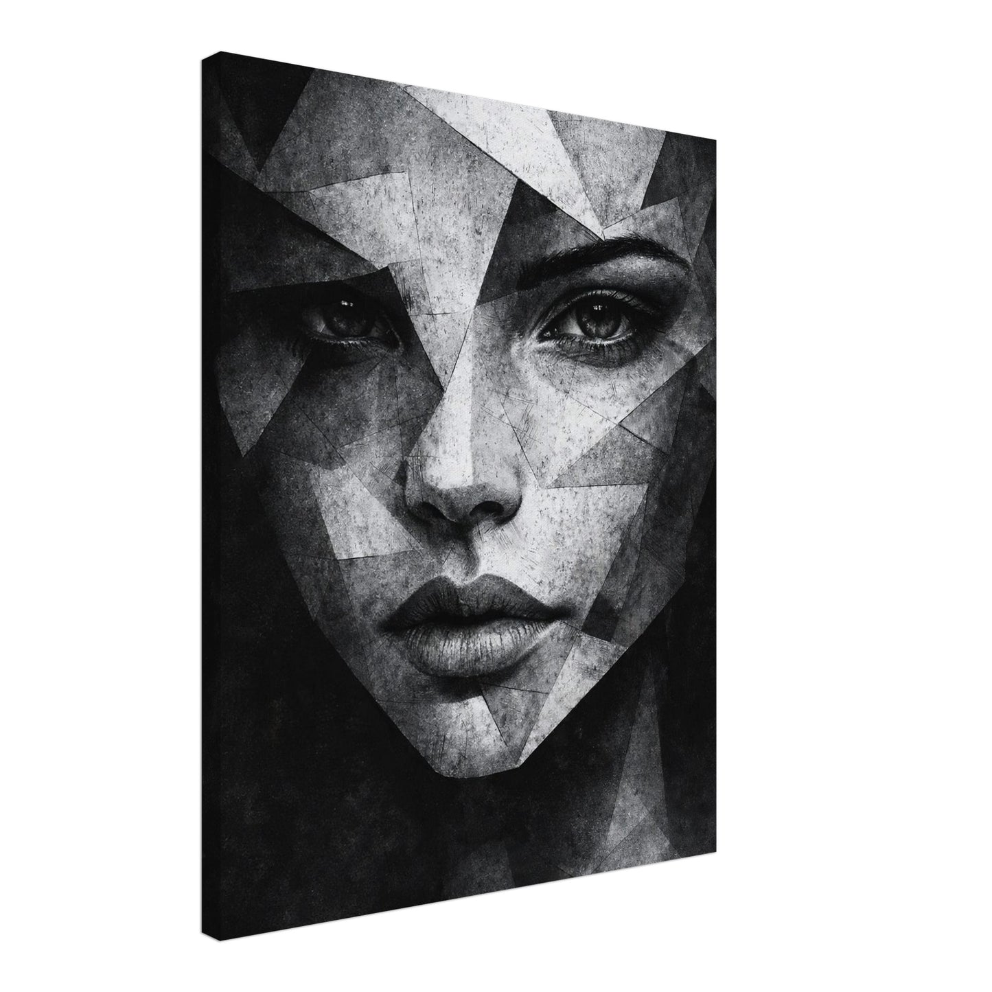 Minimalist black and white abstract portrait canvas with sharp geometric forms