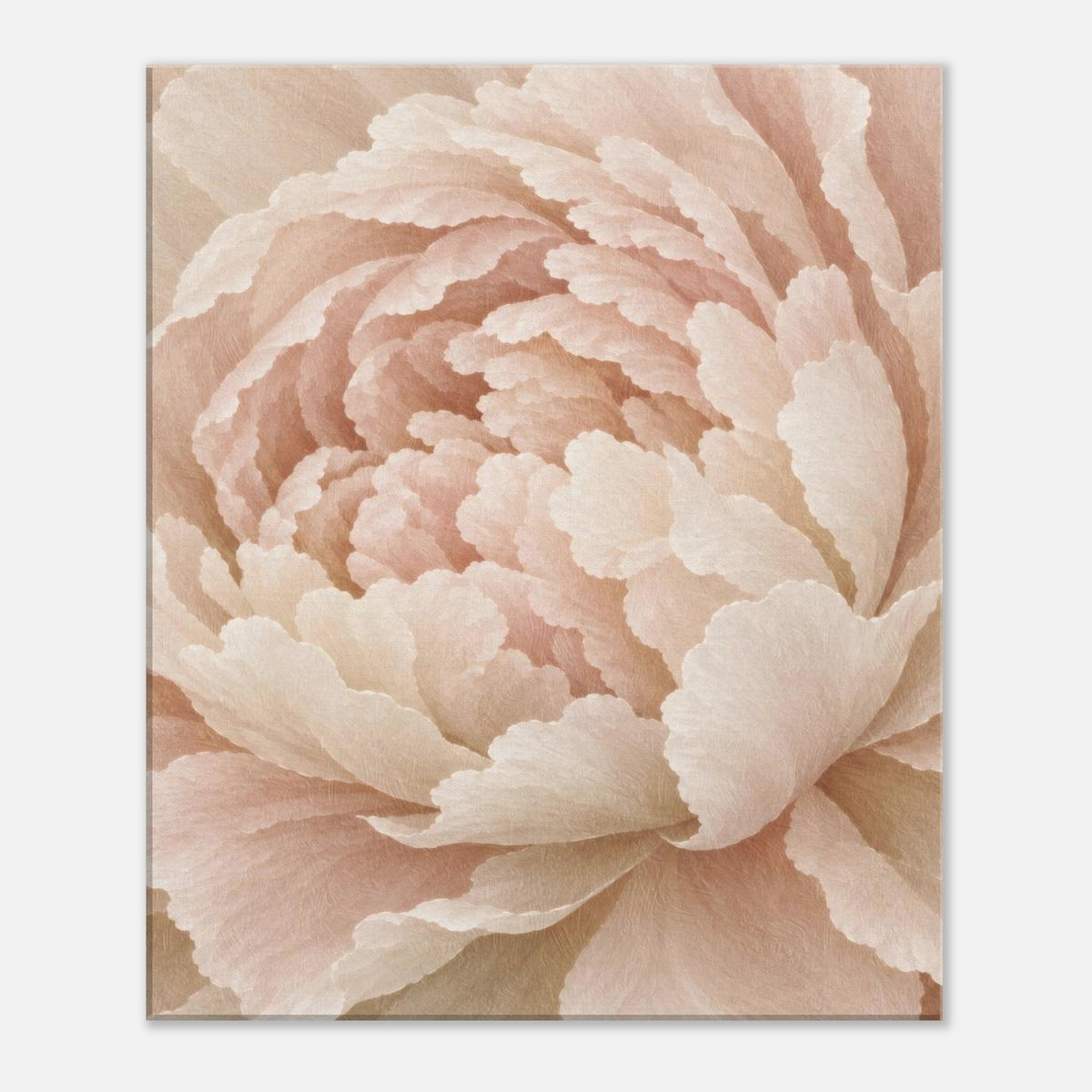 Ivory Peony canvas print with cream and blush peony petals, front view