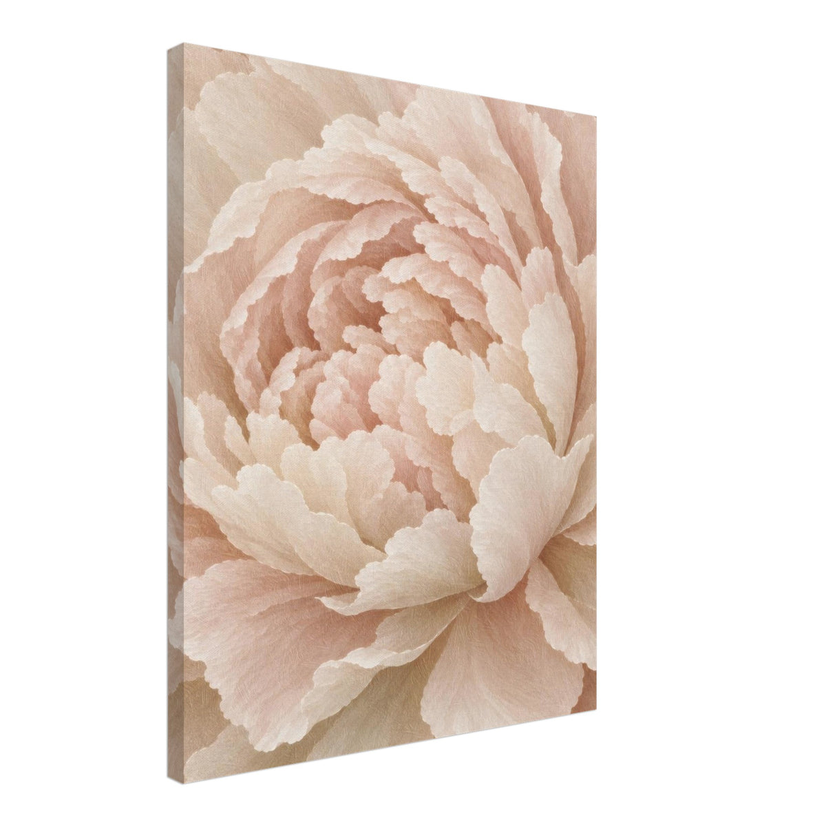 Ivory Peony canvas wall art shown at an angle with the canvas side edge visible