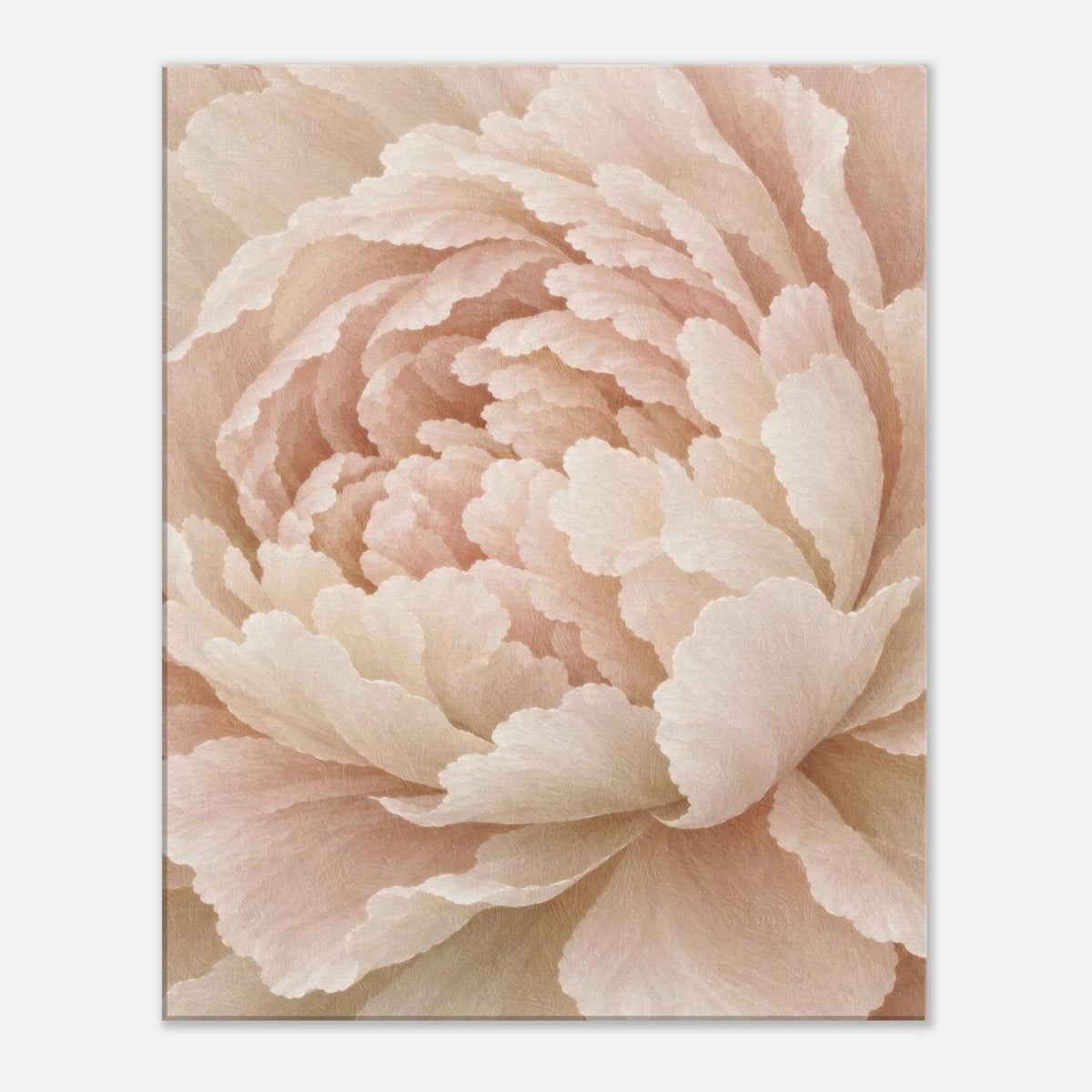 Ivory Peony cream floral canvas wall art, close-up of a soft blush peony bloom, front view