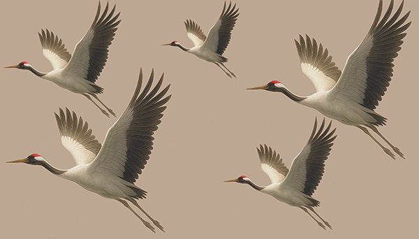 Five elegant white cranes with black-tipped wings flying in formation against a neutral beige background, modern minimalist wall art for home decor